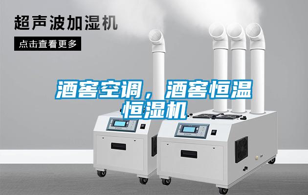 酒窖空調(diào)，酒窖恒溫恒濕機(jī)