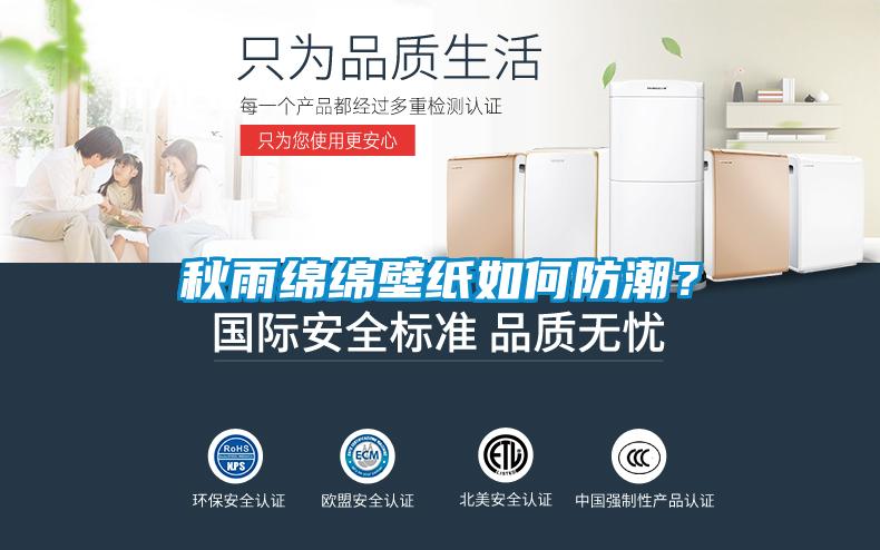 秋雨綿綿壁紙如何防潮？