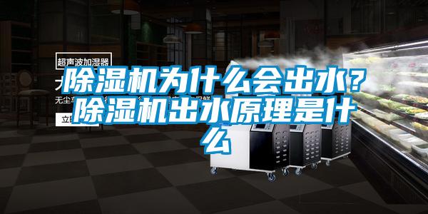 除濕機(jī)為什么會(huì)出水？除濕機(jī)出水原理是什么