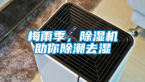 梅雨季，除濕機(jī)助你除潮去濕