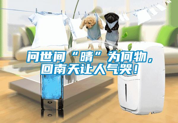 問世間“晴”為何物，回南天讓人氣哭！
