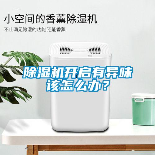 除濕機開啟有異味該怎么辦？