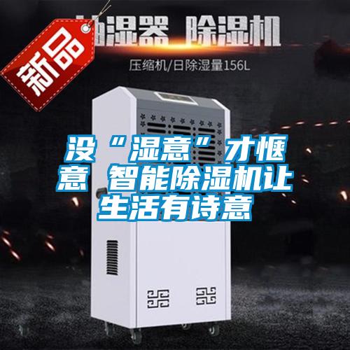 沒“濕意”才愜意 智能除濕機(jī)讓生活有詩(shī)意