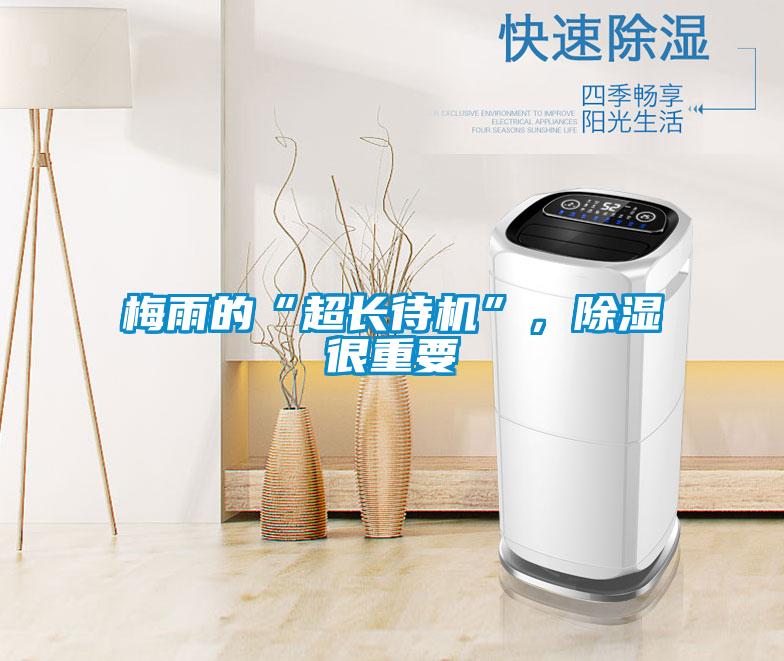 梅雨的“超長待機(jī)”，除濕很重要