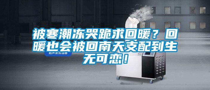 被寒潮凍哭跪求回暖？回暖也會被回南天支配到生無可戀！
