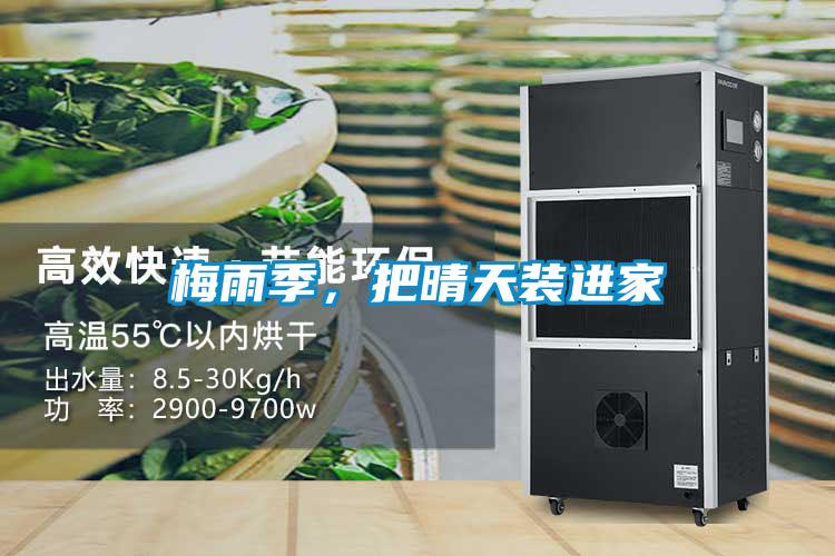 梅雨季，把晴天裝進(jìn)家
