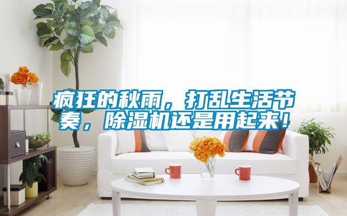瘋狂的秋雨，打亂生活節(jié)奏，除濕機還是用起來！