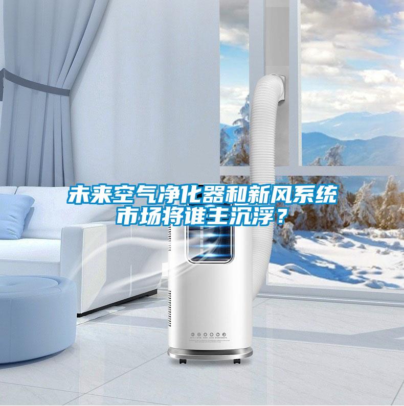 未來(lái)空氣凈化器和新風(fēng)系統(tǒng)市場(chǎng)將誰(shuí)主沉??？