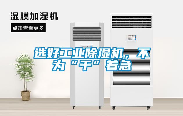 選好工業(yè)除濕機(jī)，不為“干”著急