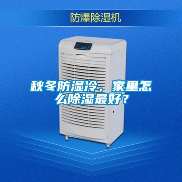 秋冬防濕冷，家里怎么除濕最好？