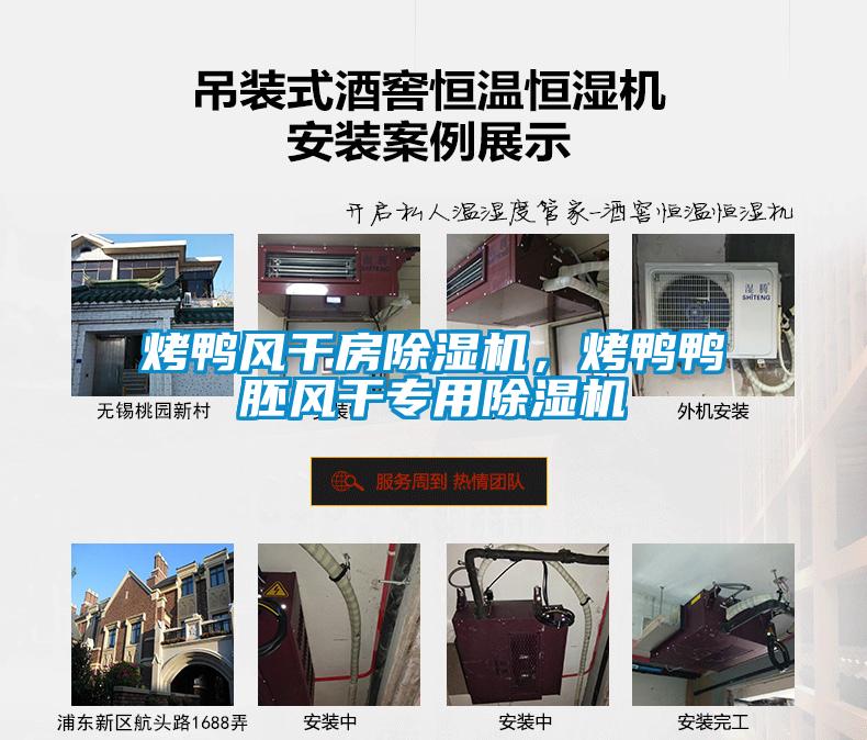 烤鴨風(fēng)干房除濕機(jī)，烤鴨鴨胚風(fēng)干專用除濕機(jī)