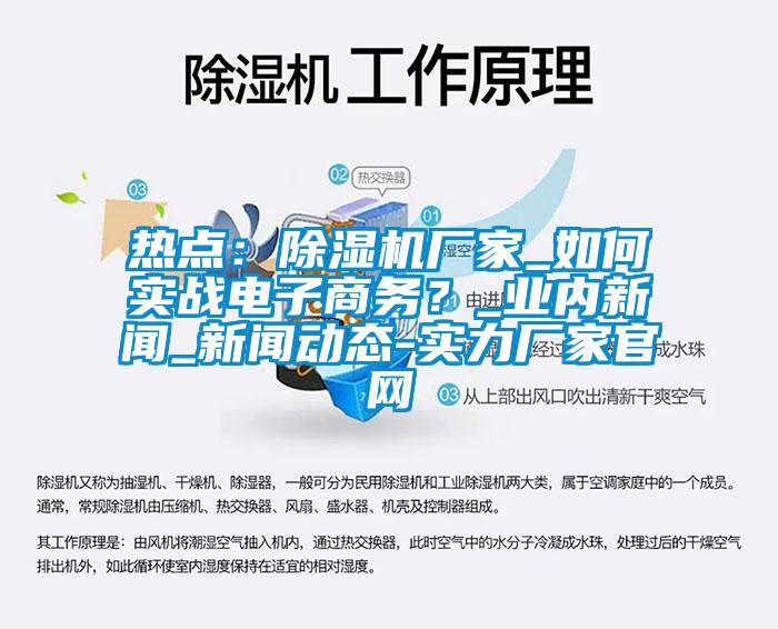 熱點(diǎn)：除濕機(jī)廠家_如何實(shí)戰(zhàn)電子商務(wù)？_業(yè)內(nèi)新聞_新聞動態(tài)-實(shí)力廠家官網(wǎng)