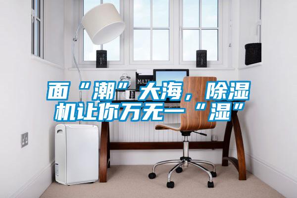 面“潮”大海，除濕機讓你萬無一“濕”
