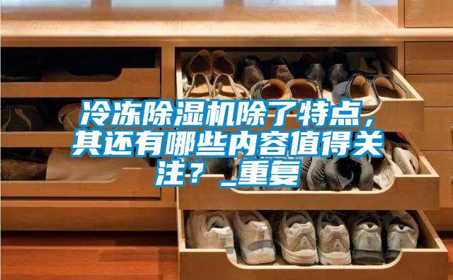 冷凍除濕機(jī)除了特點(diǎn)，其還有哪些內(nèi)容值得關(guān)注？_重復(fù)