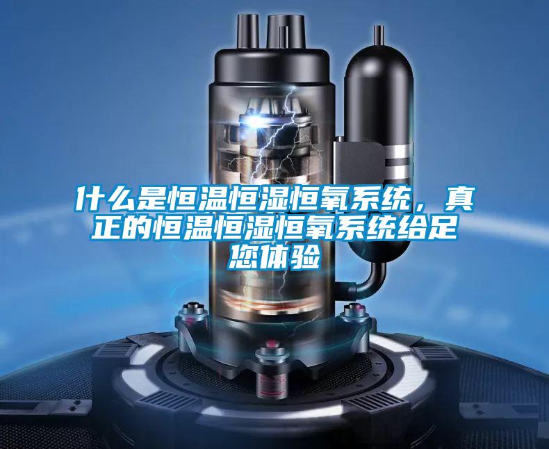 什么是恒溫恒濕恒氧系統(tǒng)，真正的恒溫恒濕恒氧系統(tǒng)給足您體驗(yàn)