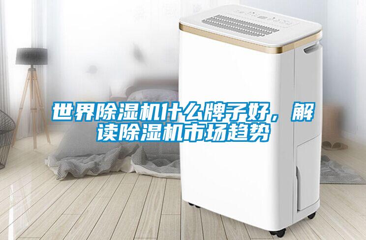 世界除濕機(jī)什么牌子好，解讀除濕機(jī)市場趨勢
