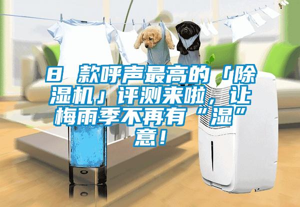 8 款呼聲最高的「除濕機」評測來啦，讓梅雨季不再有“濕”意！