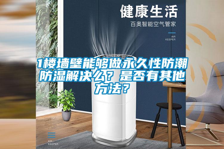 1樓墻壁能夠做永久性防潮防濕解決么？是否有其他方法？
