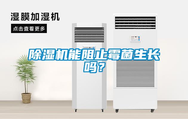 除濕機(jī)能阻止霉菌生長嗎?