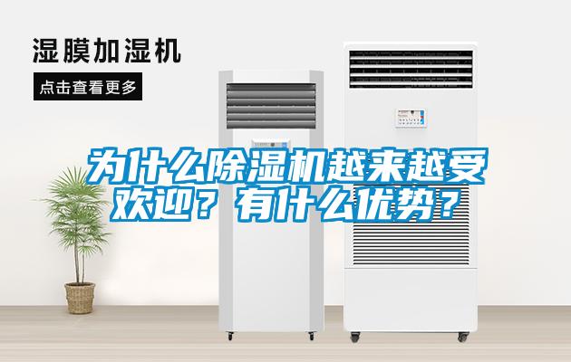 為什么除濕機越來越受歡迎？有什么優(yōu)勢？