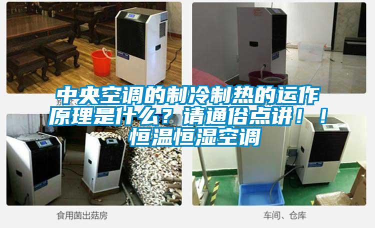 中央空調(diào)的制冷制熱的運(yùn)作原理是什么？請通俗點(diǎn)講?。?恒溫恒濕空調(diào)