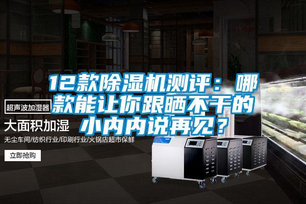 12款除濕機測評：哪款能讓你跟曬不干的小內內說再見？