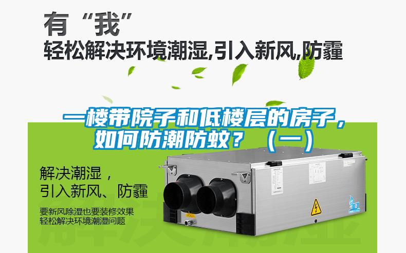 一樓帶院子和低樓層的房子，如何防潮防蚊？（一）
