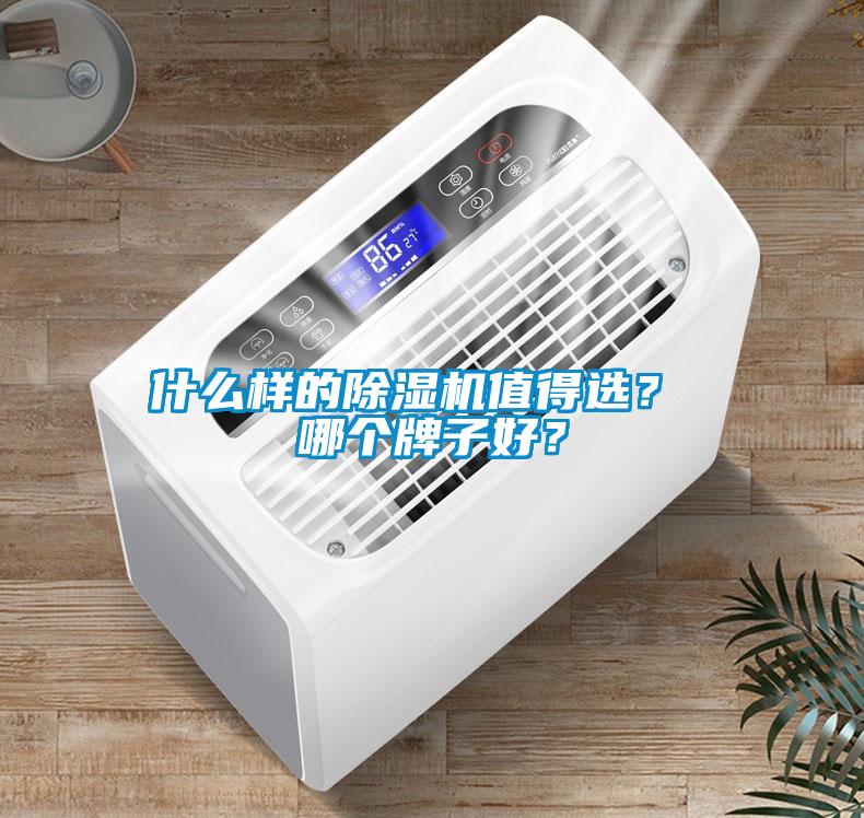 什么樣的除濕機(jī)值得選？ 哪個(gè)牌子好？