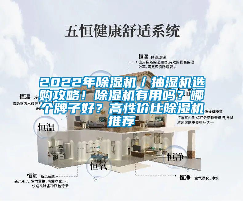2022年除濕機(jī)／抽濕機(jī)選購攻略！除濕機(jī)有用嗎？哪個牌子好？高性價比除濕機(jī)推薦