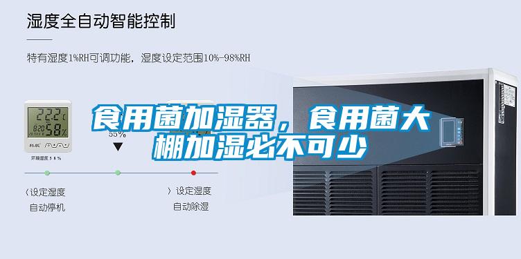 食用菌加濕器，食用菌大棚加濕必不可少