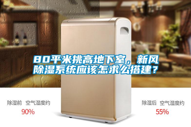 80平米挑高地下室，新風(fēng)除濕系統(tǒng)應(yīng)該怎求么搭建？