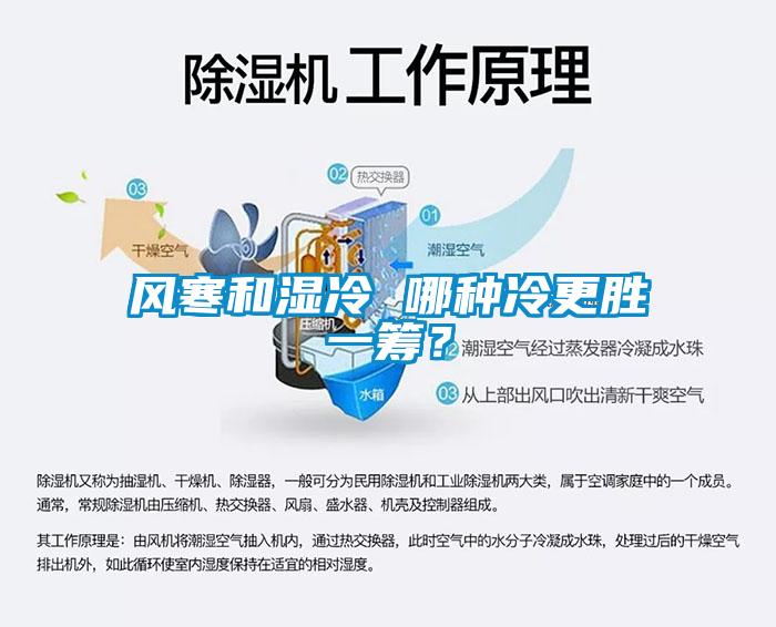 風(fēng)寒和濕冷 哪種冷更勝一籌？