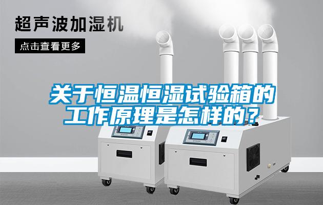 關(guān)于恒溫恒濕試驗(yàn)箱的工作原理是怎樣的？