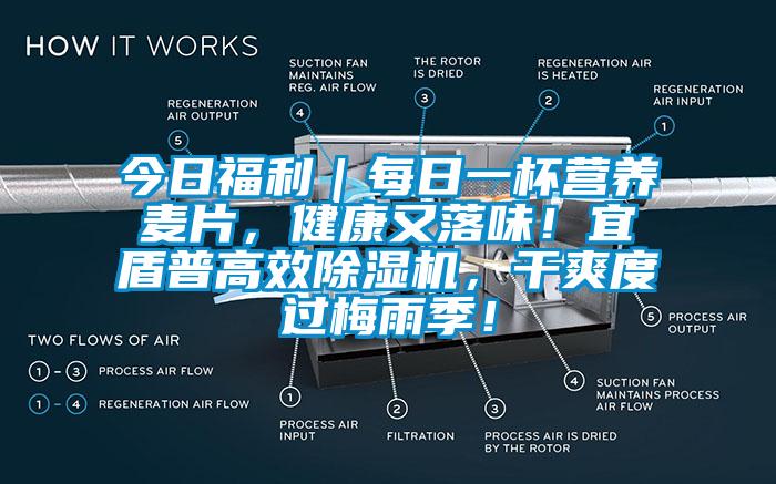 今日福利｜每日一杯營(yíng)養(yǎng)麥片，健康又落味！宜盾普高效除濕機(jī)，干爽度過(guò)梅雨季！