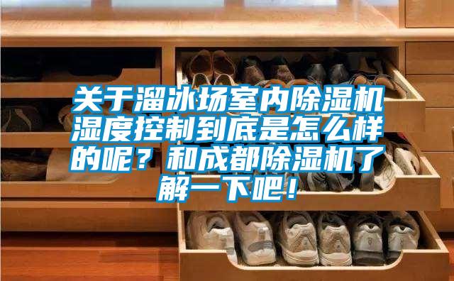 關(guān)于溜冰場(chǎng)室內(nèi)除濕機(jī)濕度控制到底是怎么樣的呢？和成都除濕機(jī)了解一下吧！