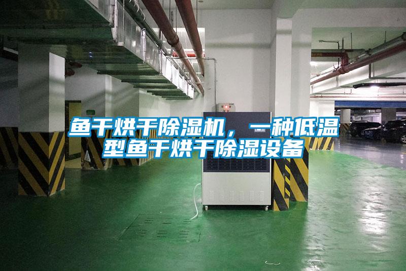 魚干烘干除濕機，一種低溫型魚干烘干除濕設備