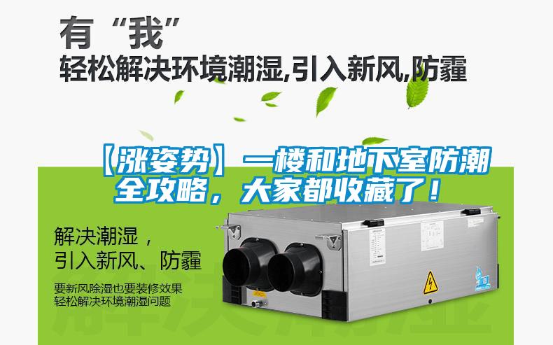 【漲姿勢】一樓和地下室防潮全攻略，大家都收藏了！
