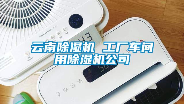 云南除濕機(jī) 工廠(chǎng)車(chē)間用除濕機(jī)公司