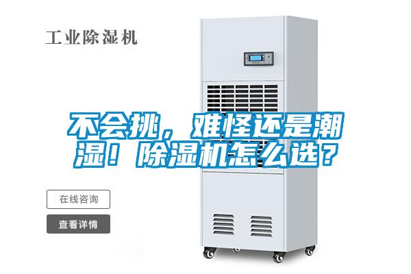 不會(huì)挑，難怪還是潮濕！除濕機(jī)怎么選？