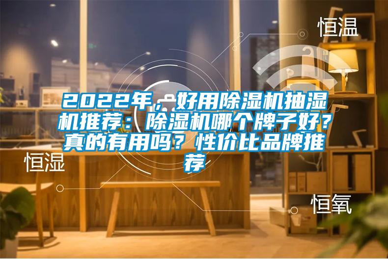 2022年，好用除濕機抽濕機推薦：除濕機哪個牌子好？真的有用嗎？性價比品牌推薦