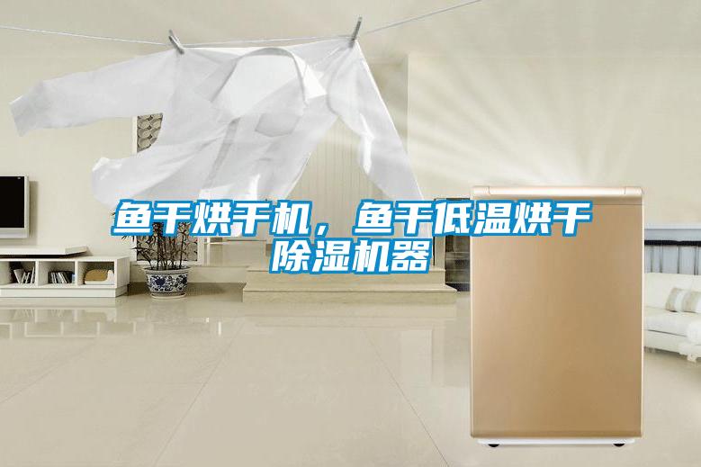 魚干烘干機，魚干低溫烘干除濕機器