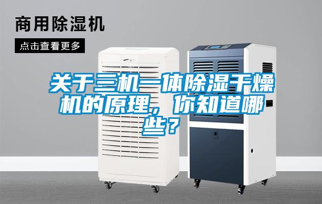 關(guān)于三機(jī)一體除濕干燥機(jī)的原理，你知道哪些？