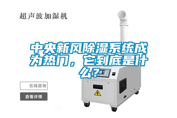 中央新風(fēng)除濕系統(tǒng)成為熱門，它到底是什么？