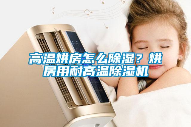 高溫烘房怎么除濕？烘房用耐高溫除濕機(jī)