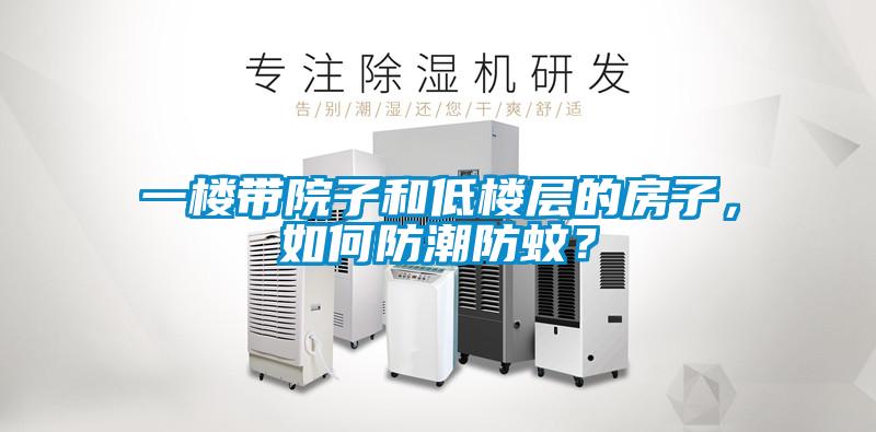 一樓帶院子和低樓層的房子，如何防潮防蚊？