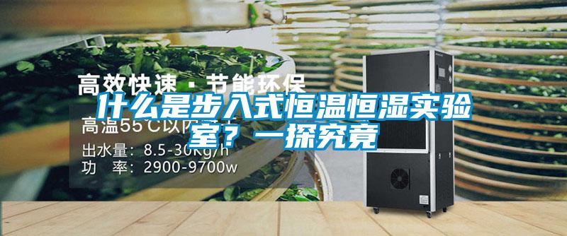 什么是步入式恒溫恒濕實驗室？一探究竟