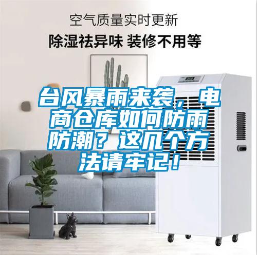 臺風暴雨來襲，電商倉庫如何防雨防潮？這幾個方法請牢記！