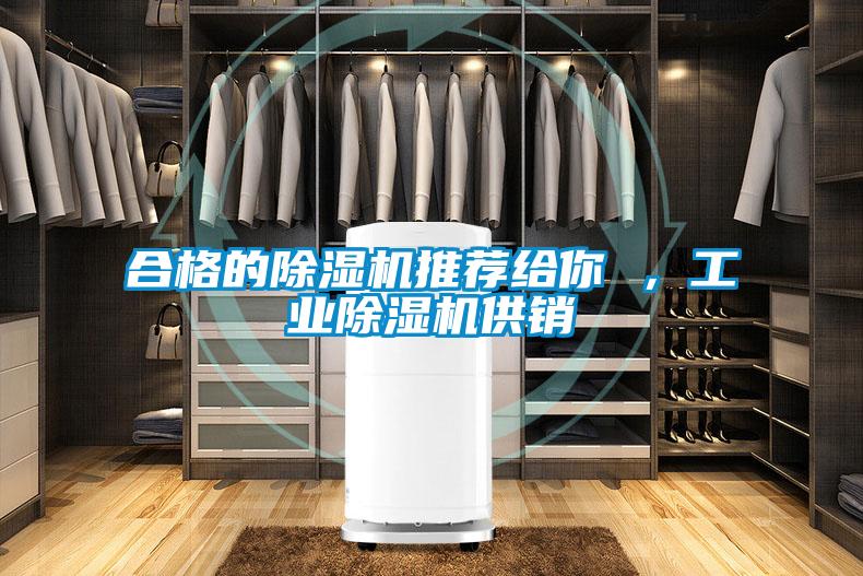 合格的除濕機(jī)推薦給你 ，工業(yè)除濕機(jī)供銷