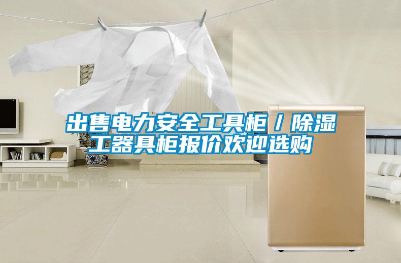 出售電力安全工具柜／除濕工器具柜報(bào)價歡迎選購