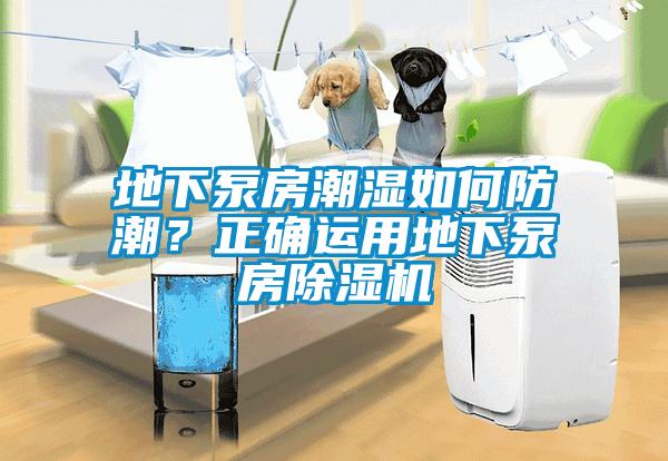 地下泵房潮濕如何防潮？正確運(yùn)用地下泵房除濕機(jī)